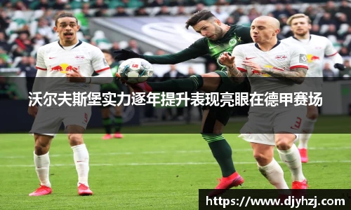 中欧体育网址