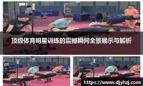 中欧体育网址
